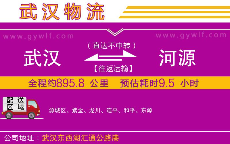 武漢到河源貨運公司