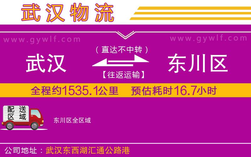 武漢到東川區貨運公司