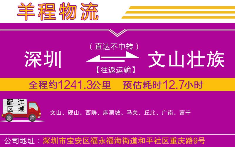 深圳到文山壯族苗族自治州貨運公司