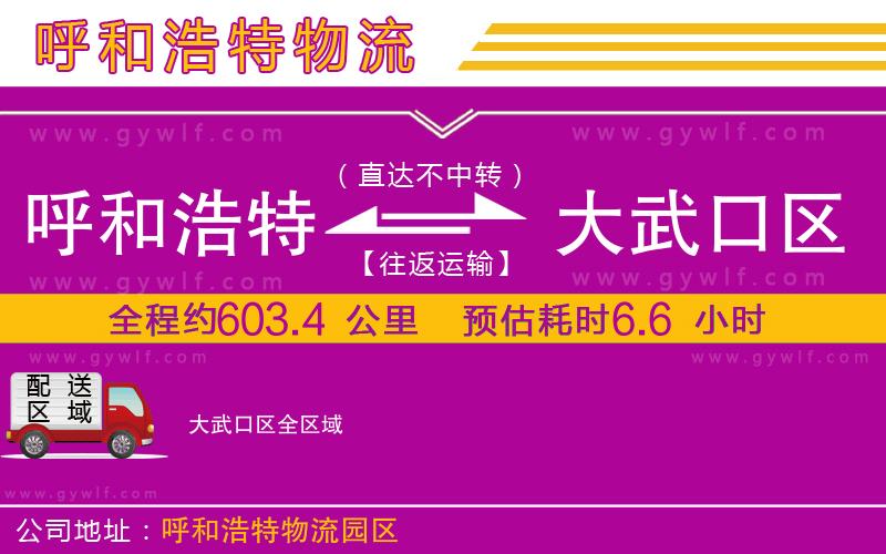 呼和浩特到大武口區物流公司